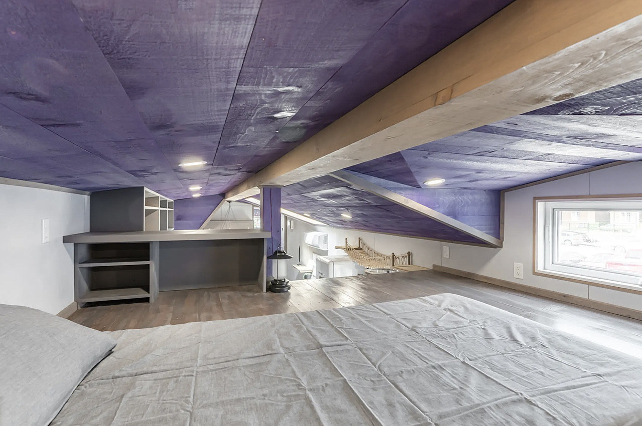 miniature，housing，Purple Heart，rest，purple，