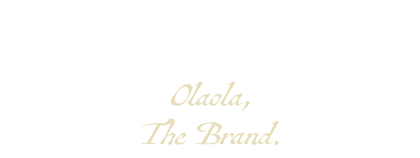 OlaOla，Electric heater，small home appliances，originality，