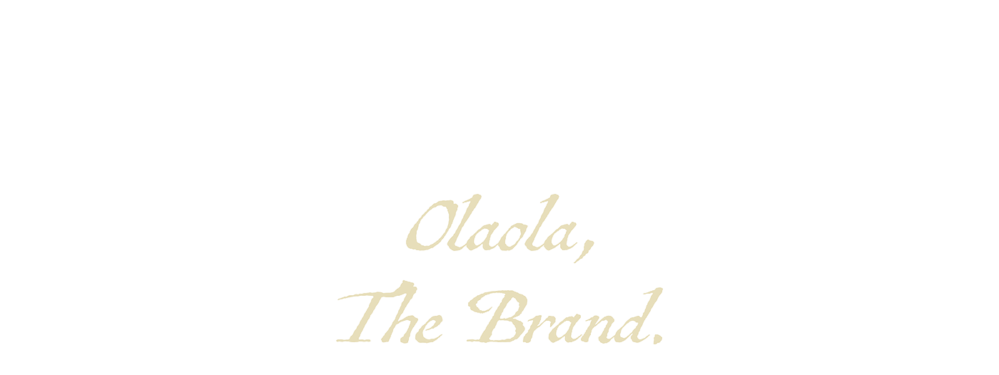 OlaOla，Electric heater，small home appliances，originality，