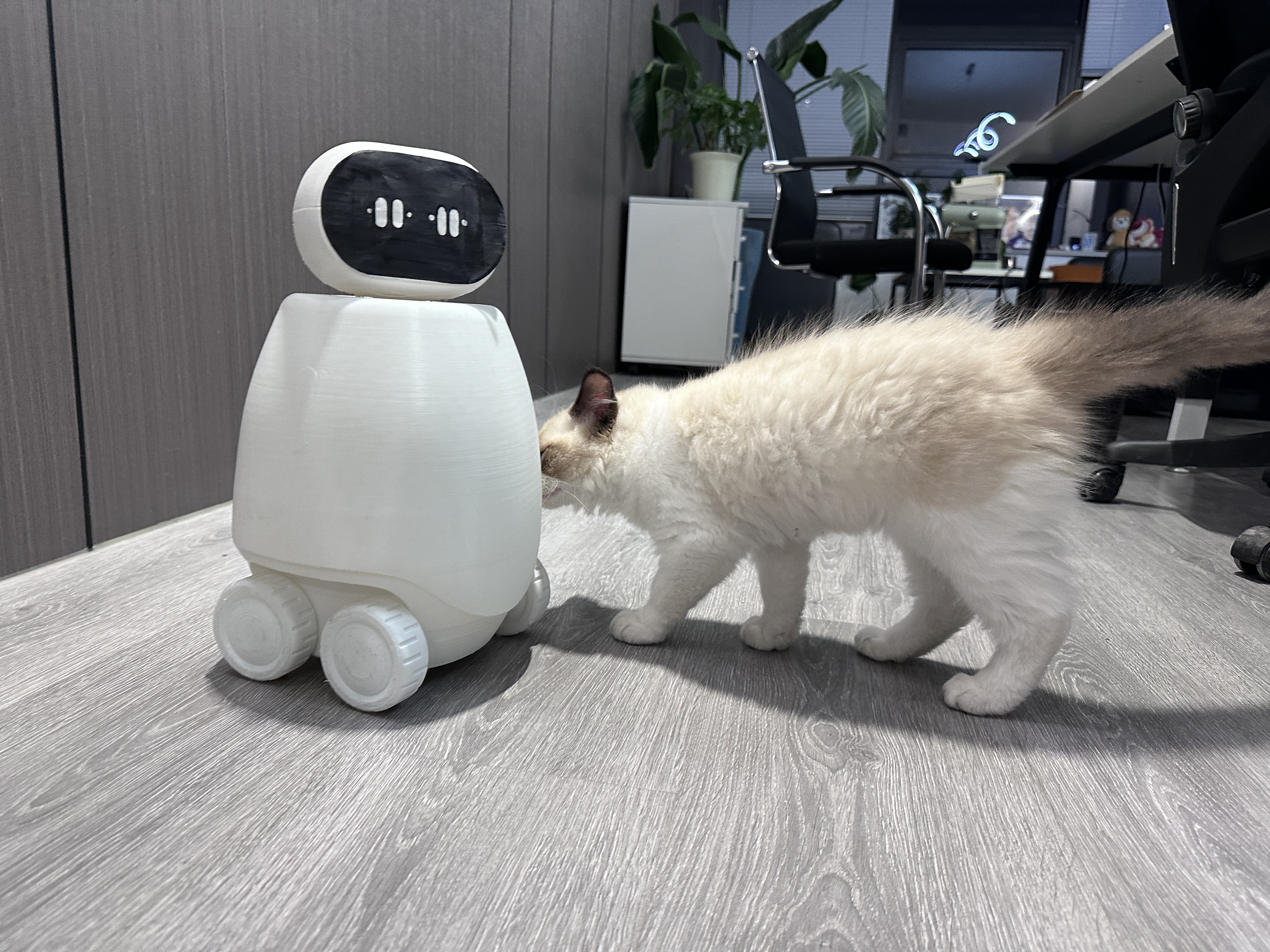robot，Companion robot，Home robot，Besek，Patrol robot，Simple robot，