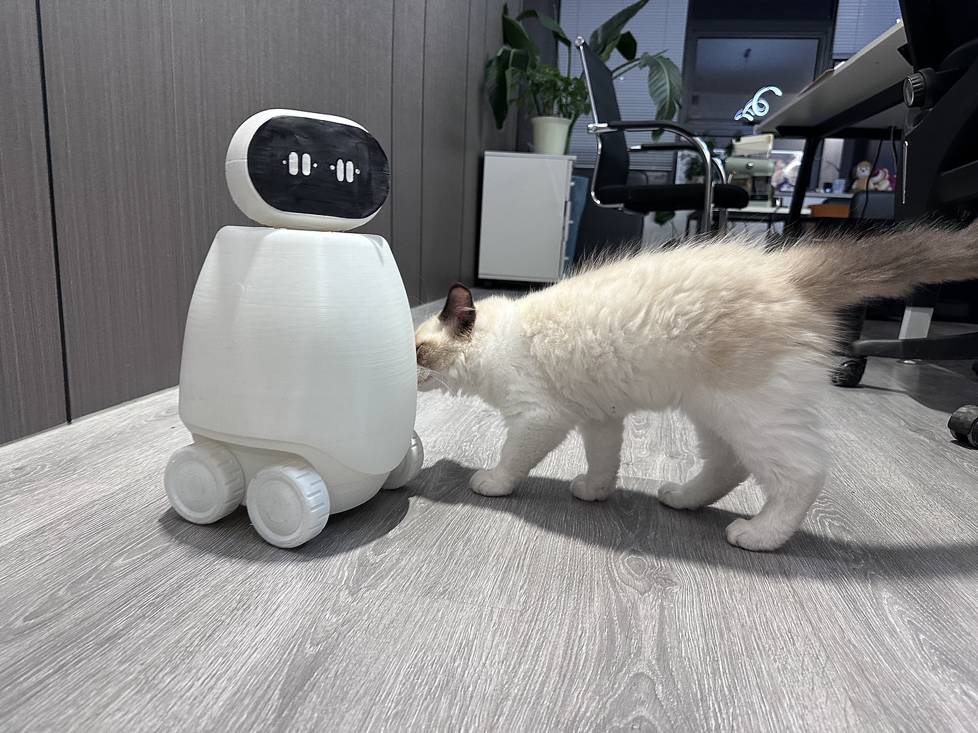 robot，Companion robot，Home robot，Besek，Patrol robot，Simple robot，