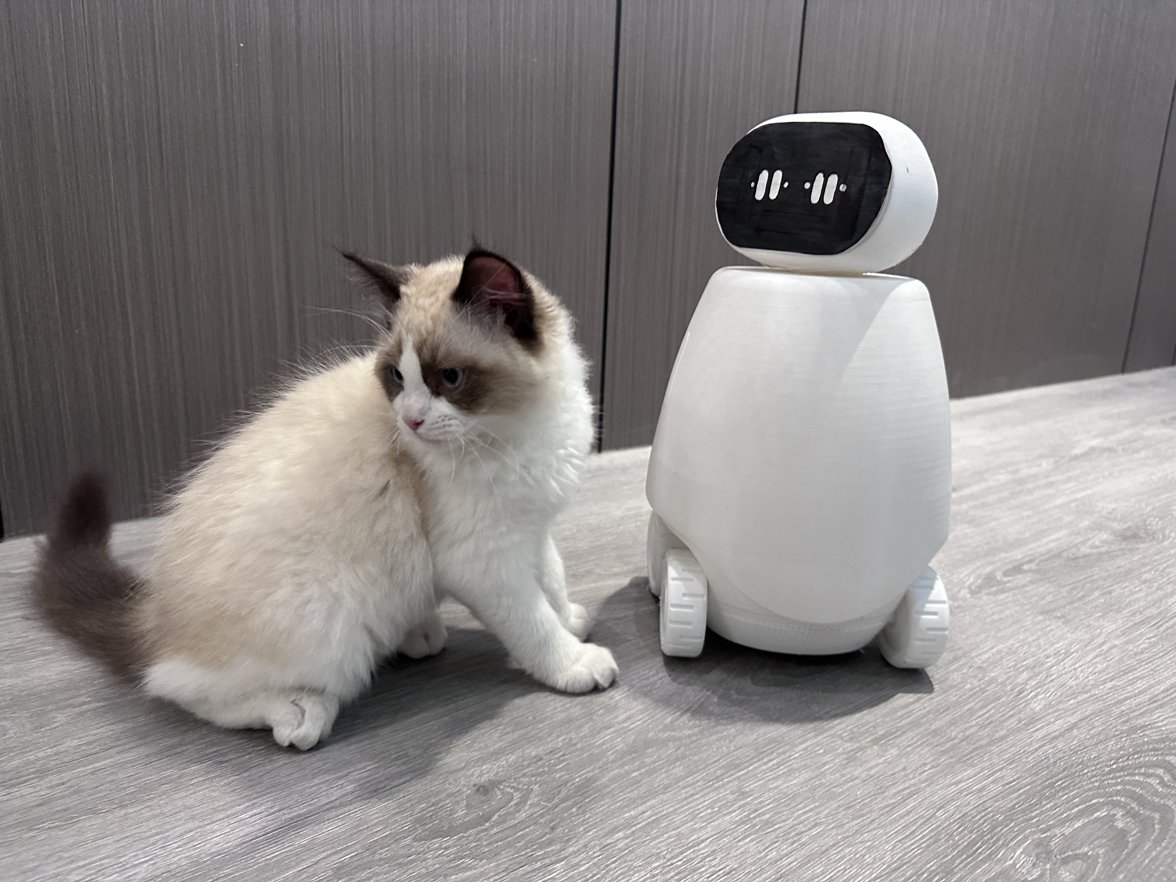 robot，Companion robot，Home robot，Besek，Patrol robot，Simple robot，