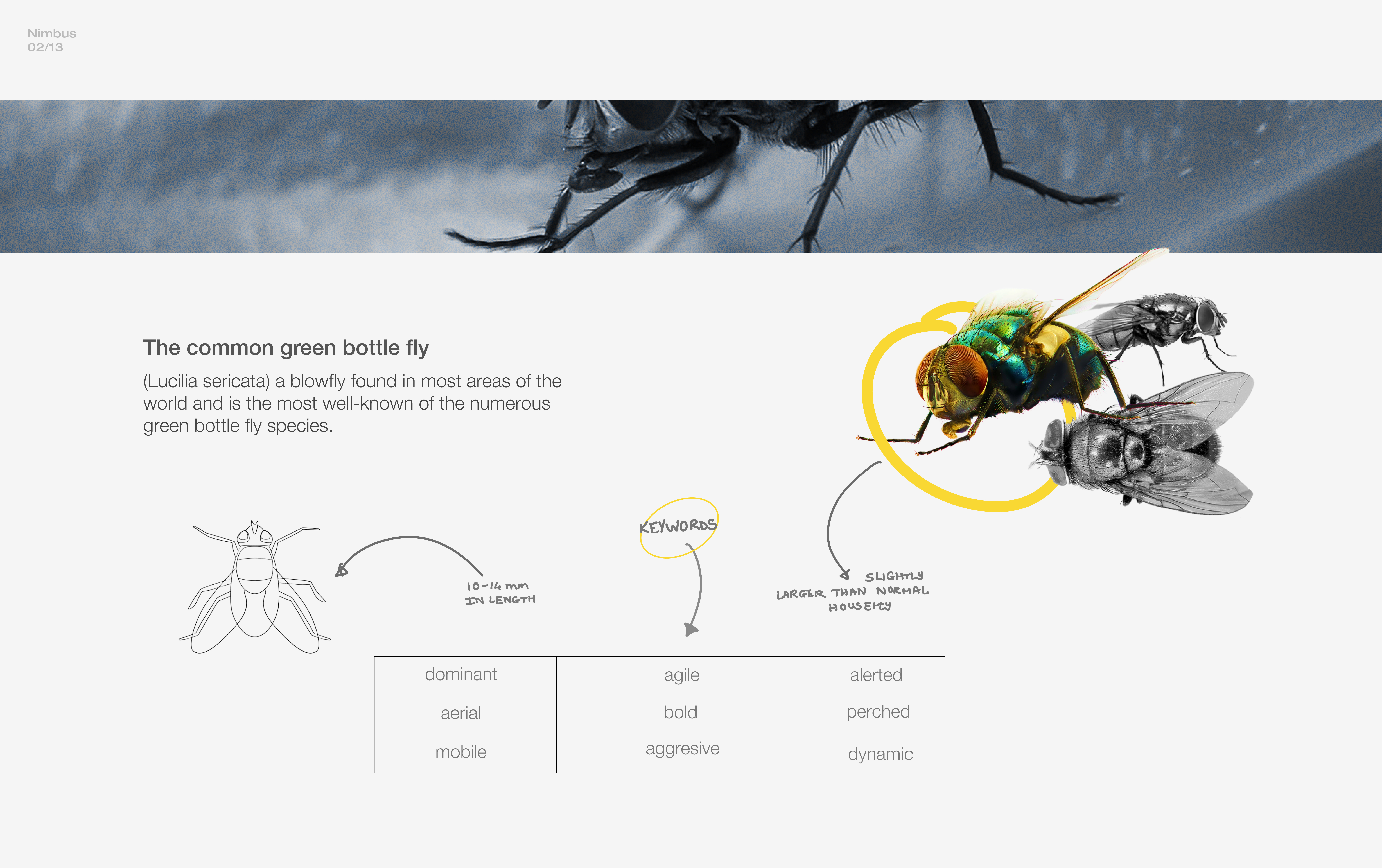 speaker，product design，Nimbus，Design，design，wireless speaker ，