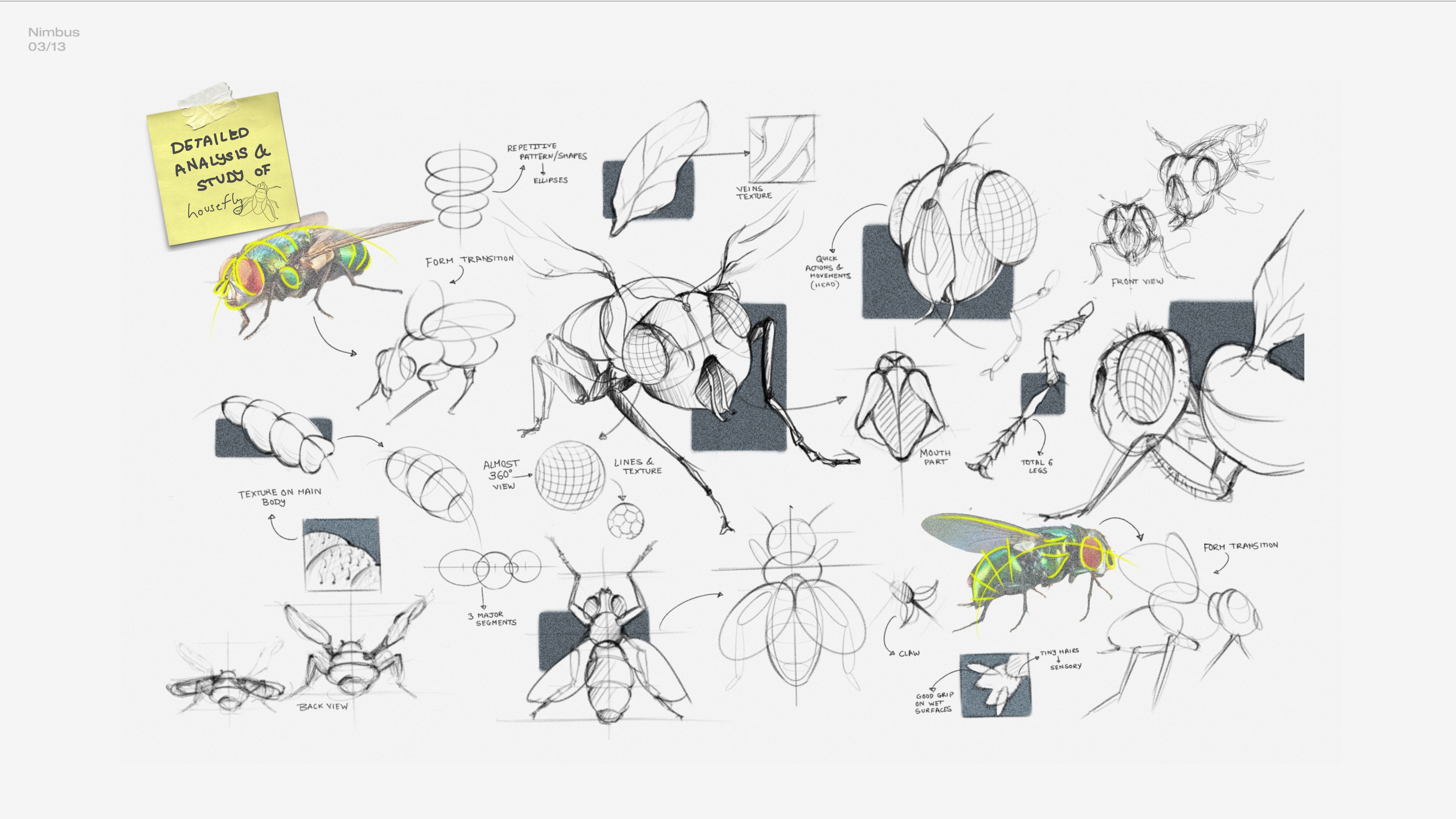 speaker，product design，Nimbus，Design，design，wireless speaker ，