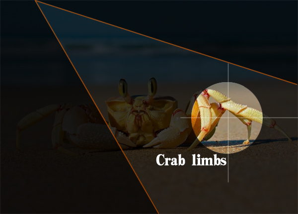 Full size large SUV，Cherokee，jeep，jeep，Off-road vehicle，suv，CHEROKEE，CHEROKEE，Grand Cherokee，