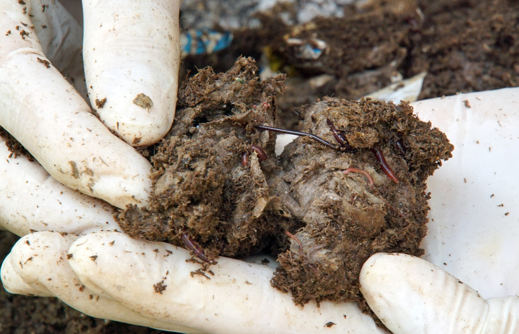 Golden Reed Industrial Design Award，Public facilities，Product Group，gold prize，