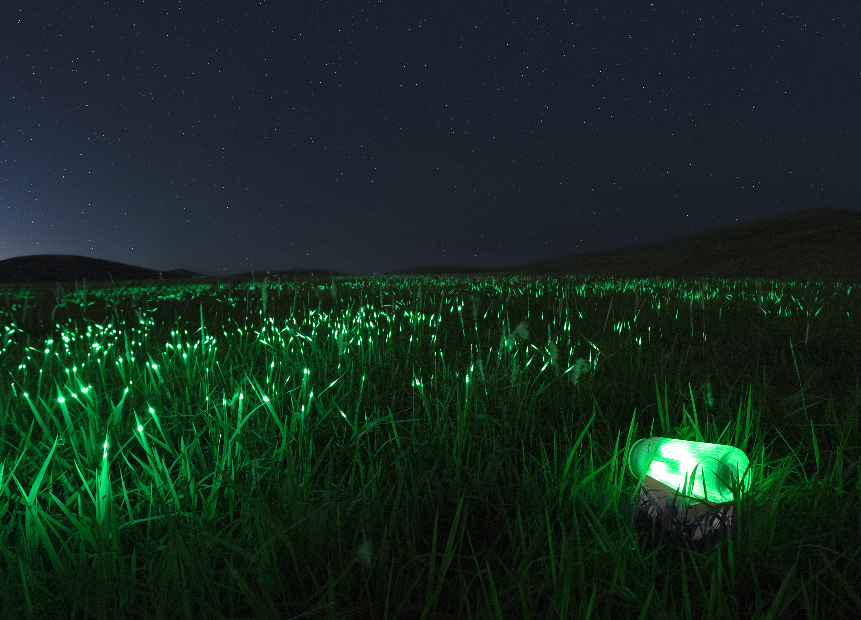 Golden Reed Industrial Design Award，Nomination Award，Public facilities，Product Group，