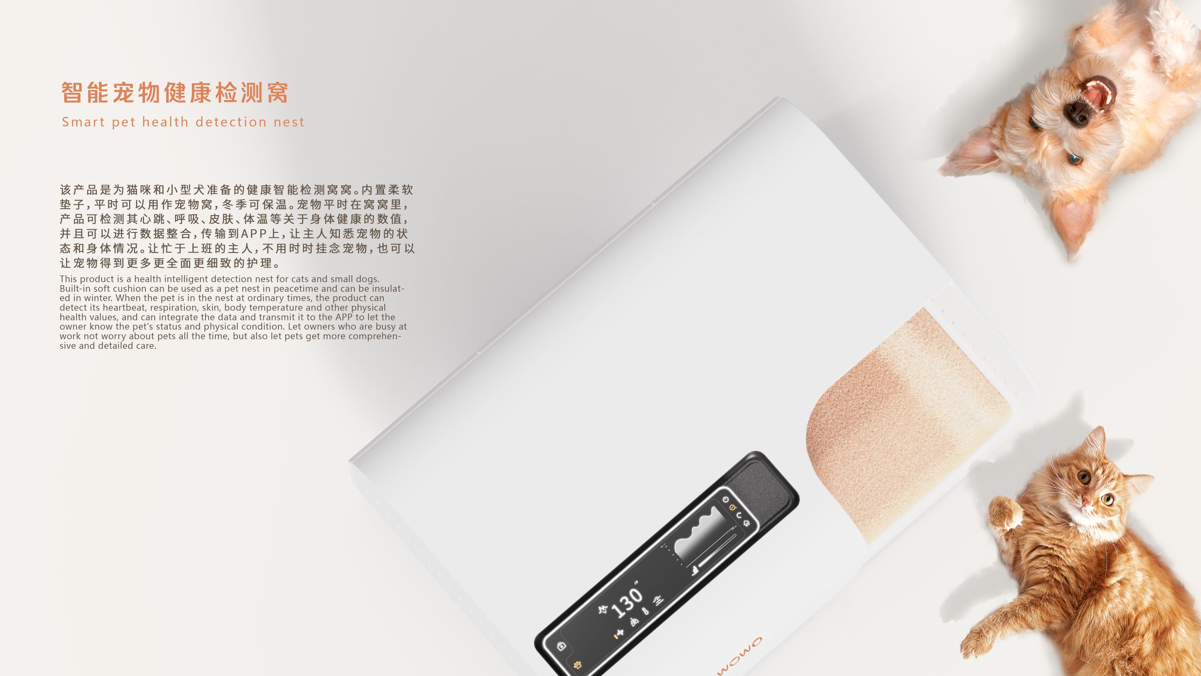 Pets，cozy，testing，