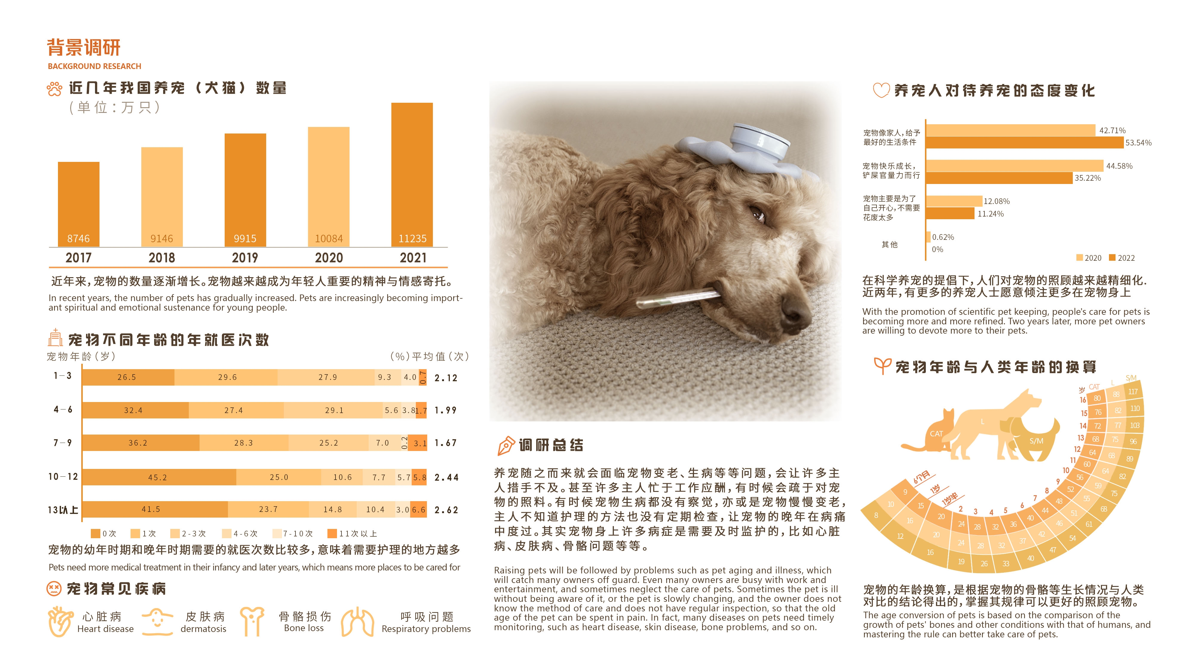 Pets，cozy，testing，