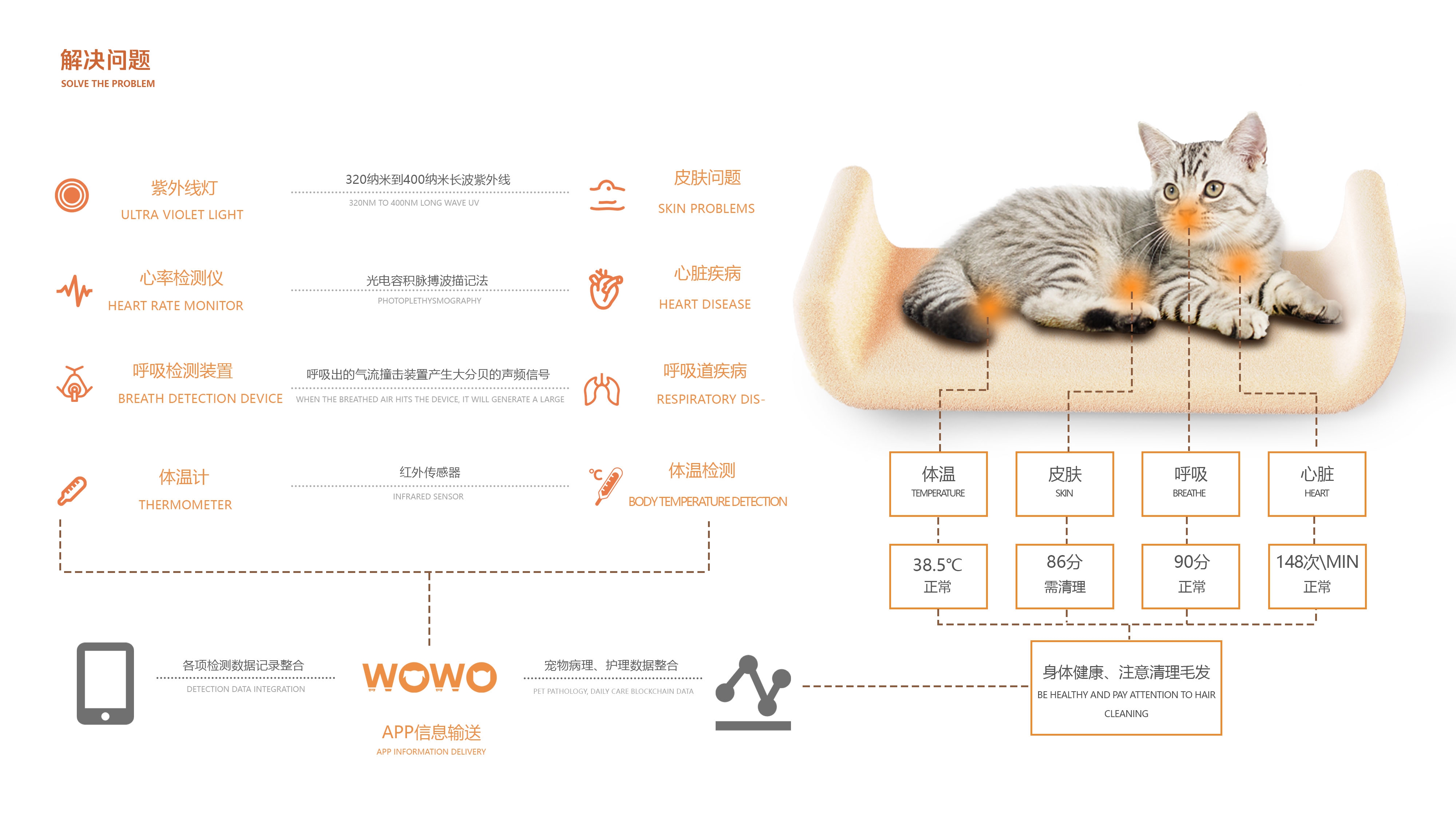 Pets，cozy，testing，