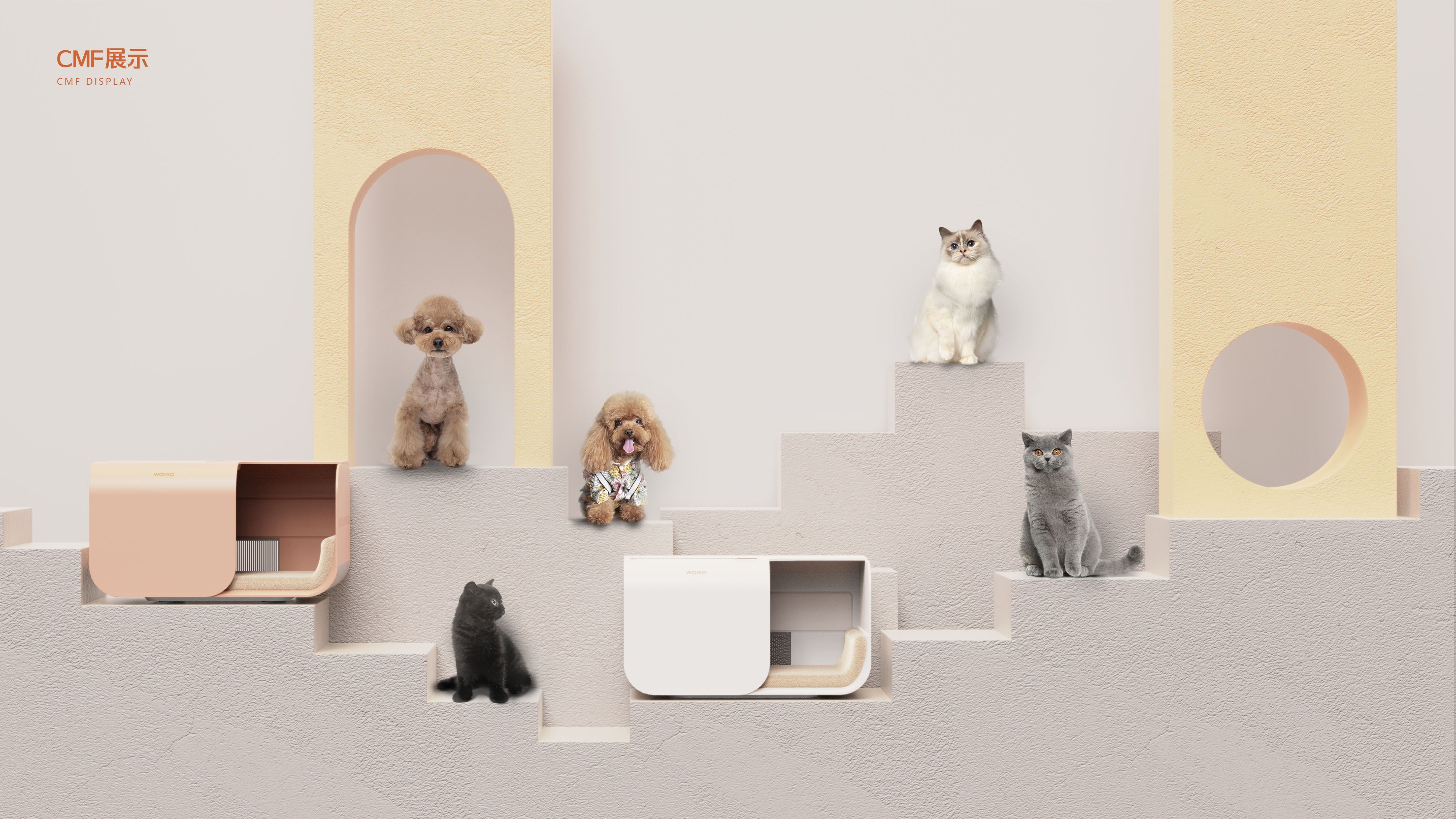 Pets，cozy，testing，