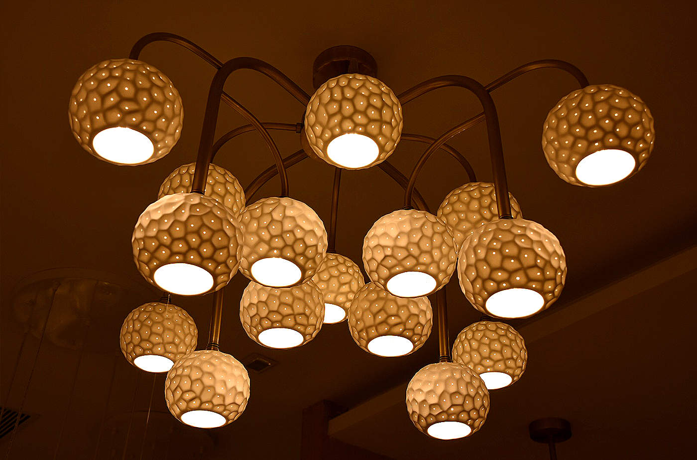 New Youth，environment protection，have bumper harvest，Blueberry，