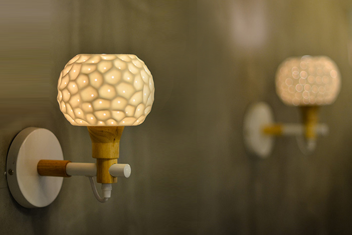 New Youth，environment protection，have bumper harvest，Blueberry，