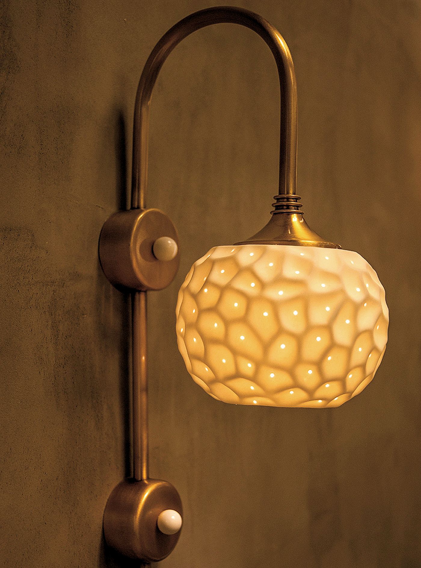 New Youth，environment protection，have bumper harvest，Blueberry，