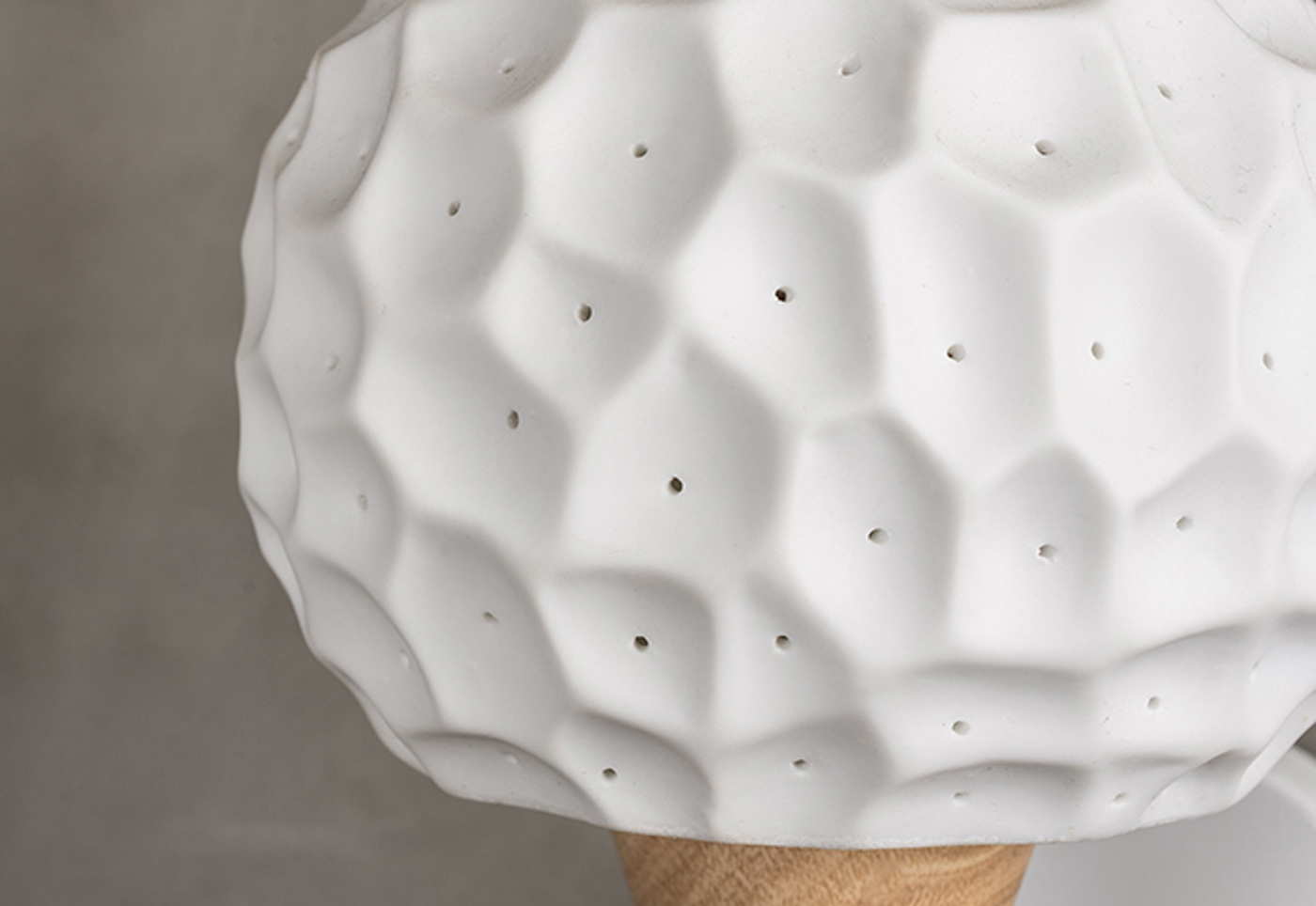 New Youth，environment protection，have bumper harvest，Blueberry，