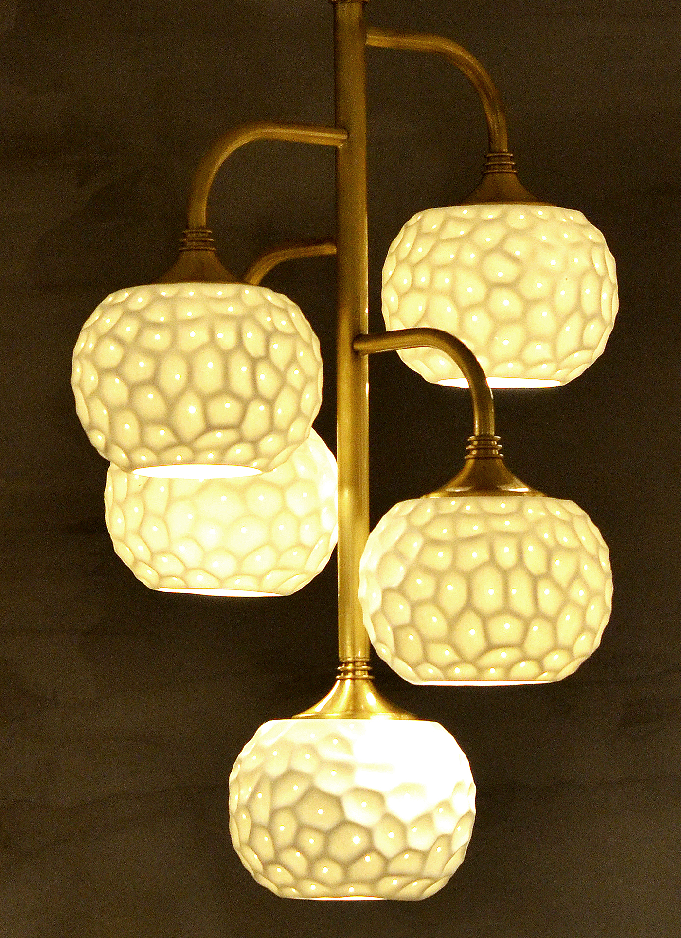 New Youth，environment protection，have bumper harvest，Blueberry，