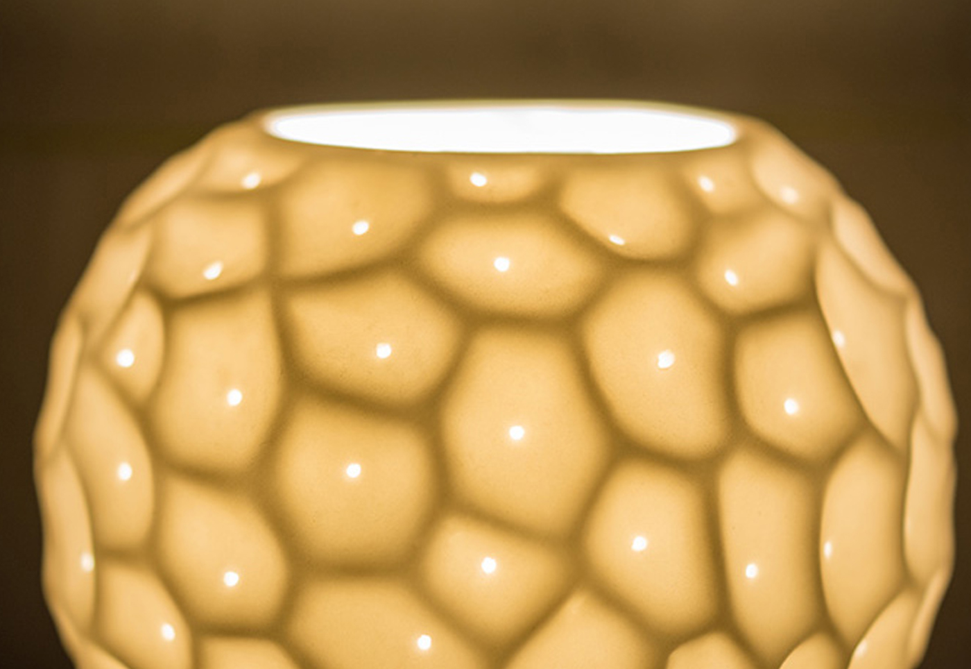 New Youth，environment protection，have bumper harvest，Blueberry，