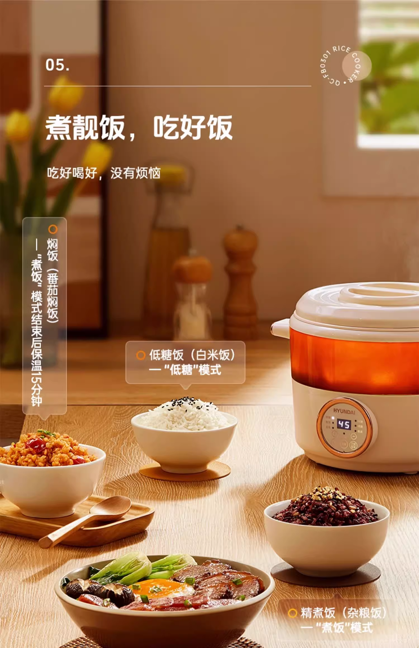 Household Electric Appliances，