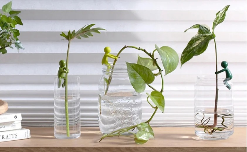 plant scaffold，Creative design，product design，If design award，Red dot award，Design Award Declaration，Household goods，