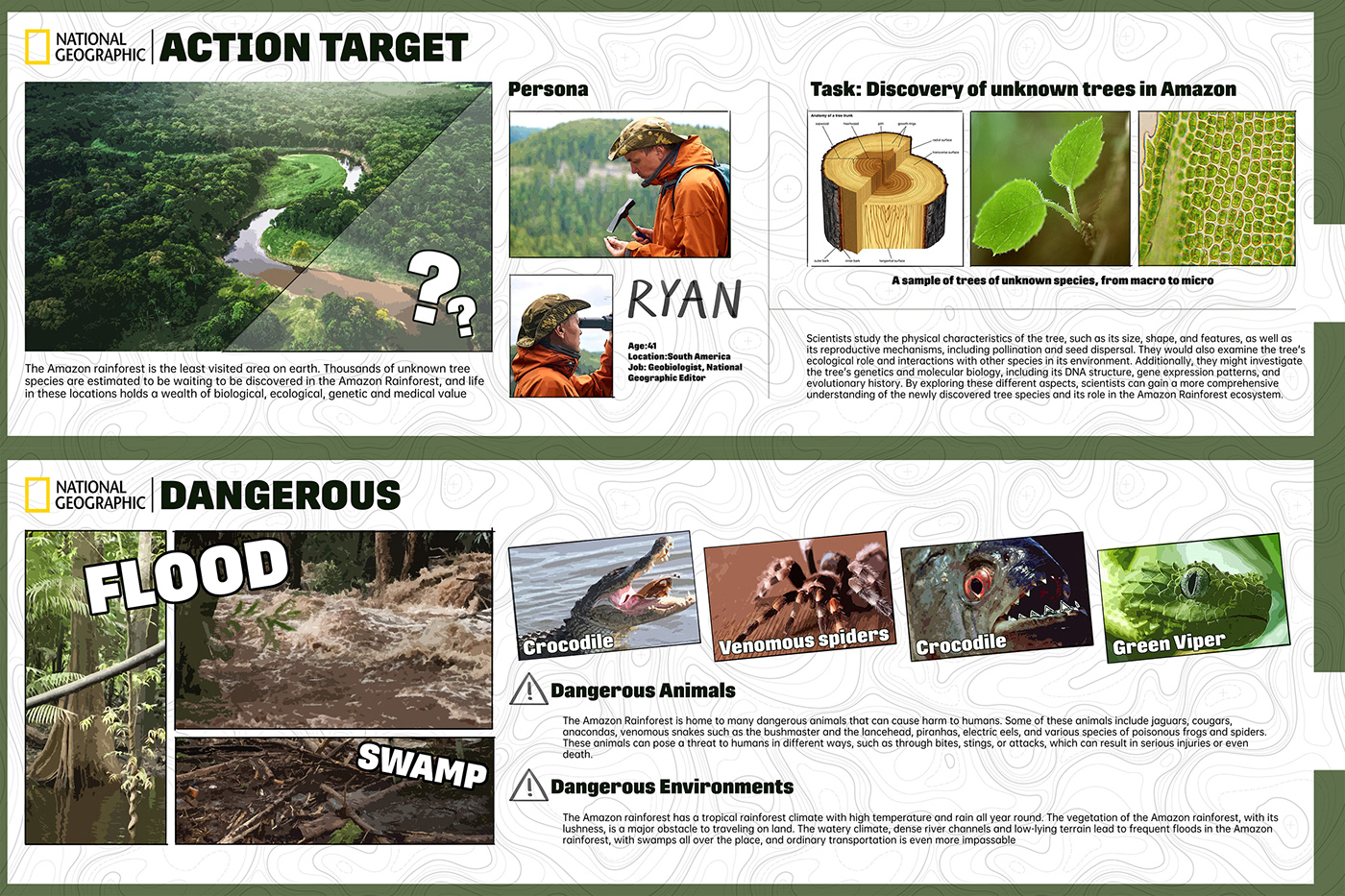 house，spare parts，automobile，assemble，field，