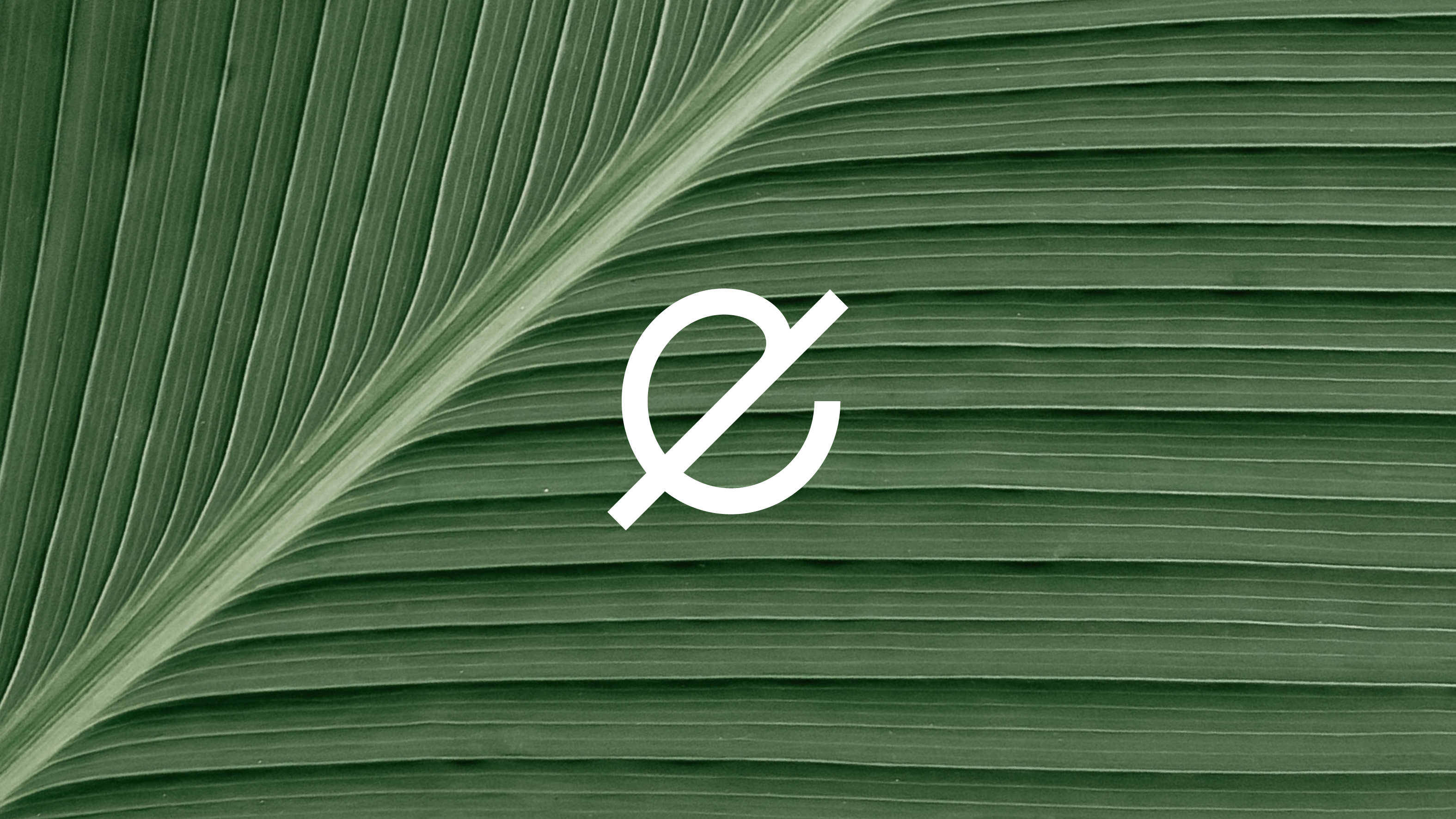 brand image，Logo design，VI design，Medical brand，