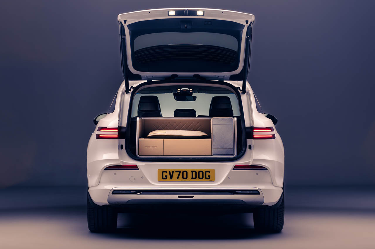 Dog Module，comfortable，Pets，facilities，