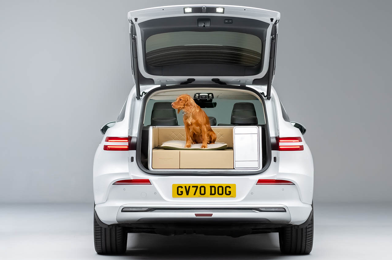 Dog Module，comfortable，Pets，facilities，