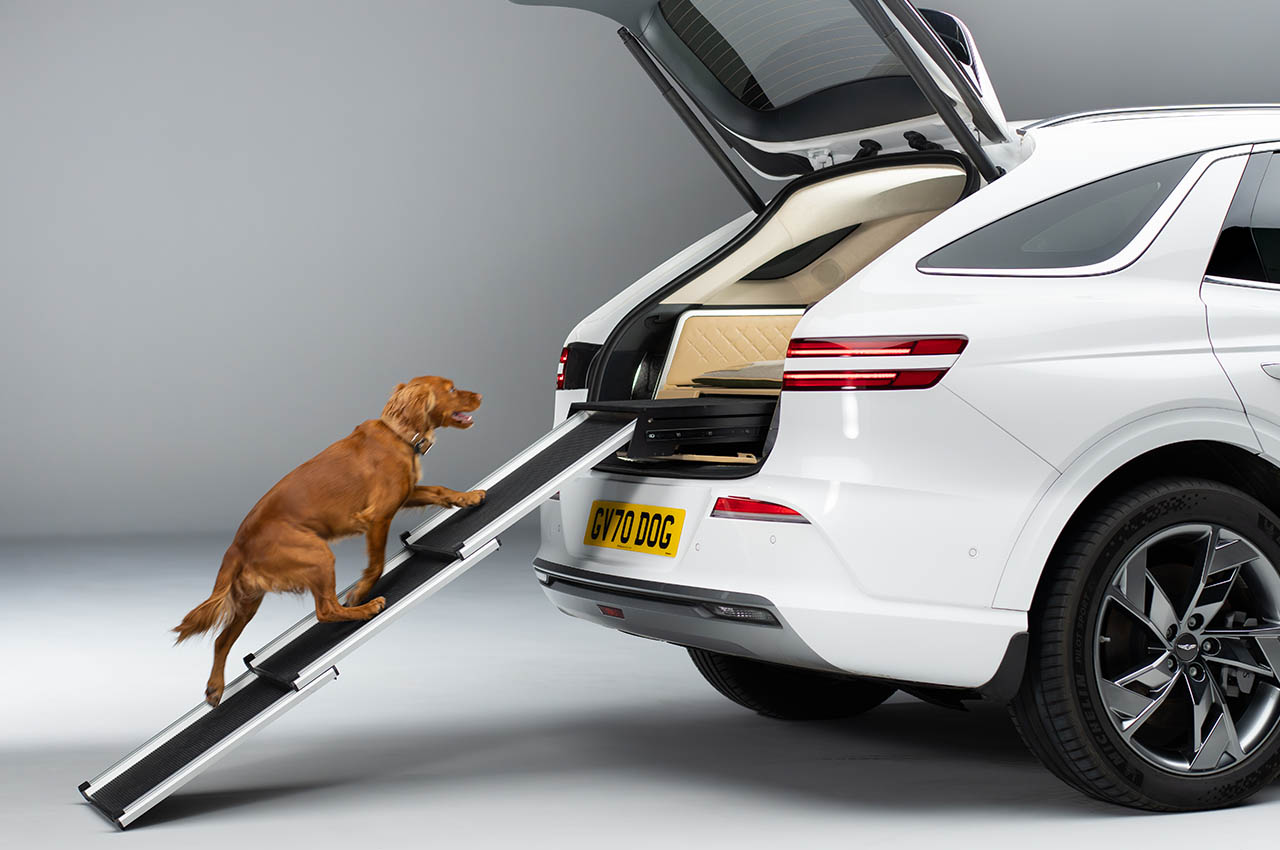 Dog Module，comfortable，Pets，facilities，