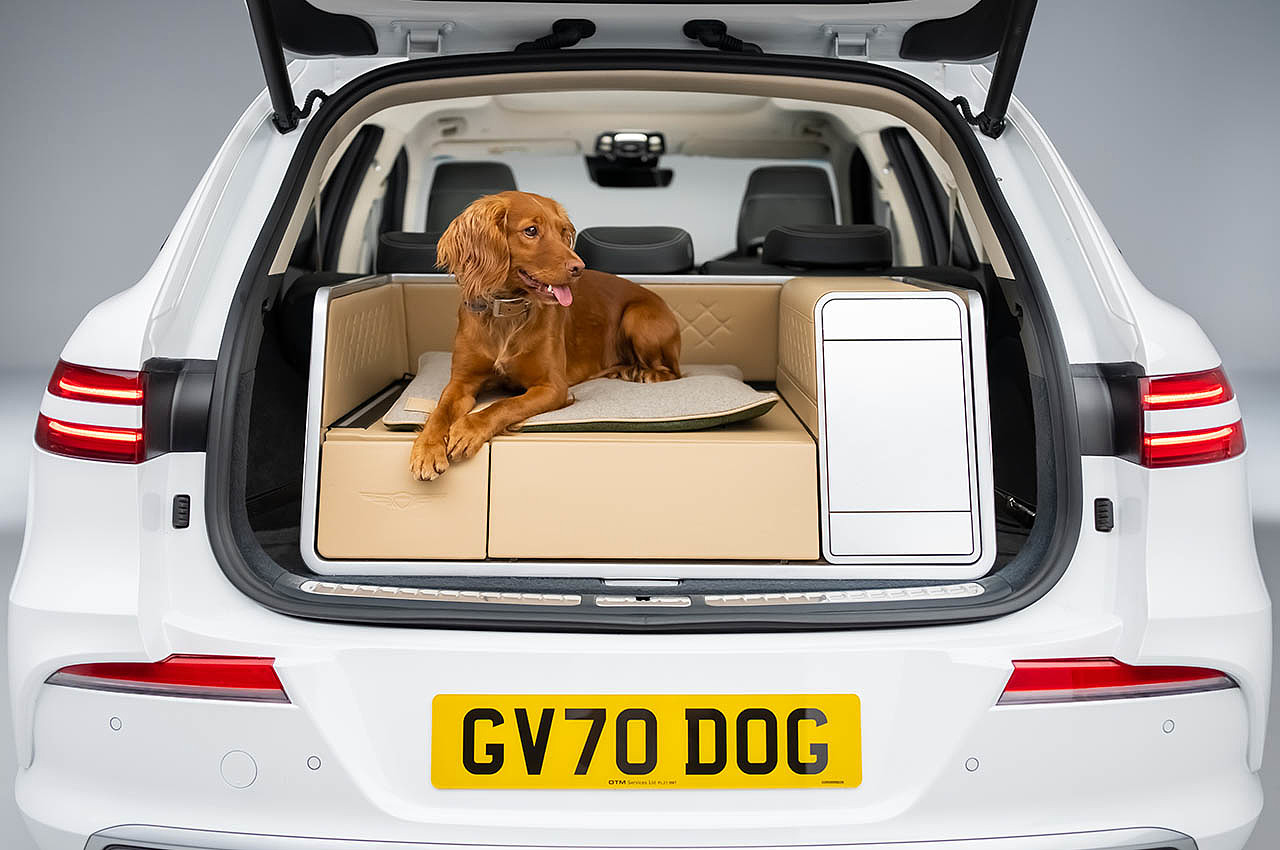 Dog Module，comfortable，Pets，facilities，