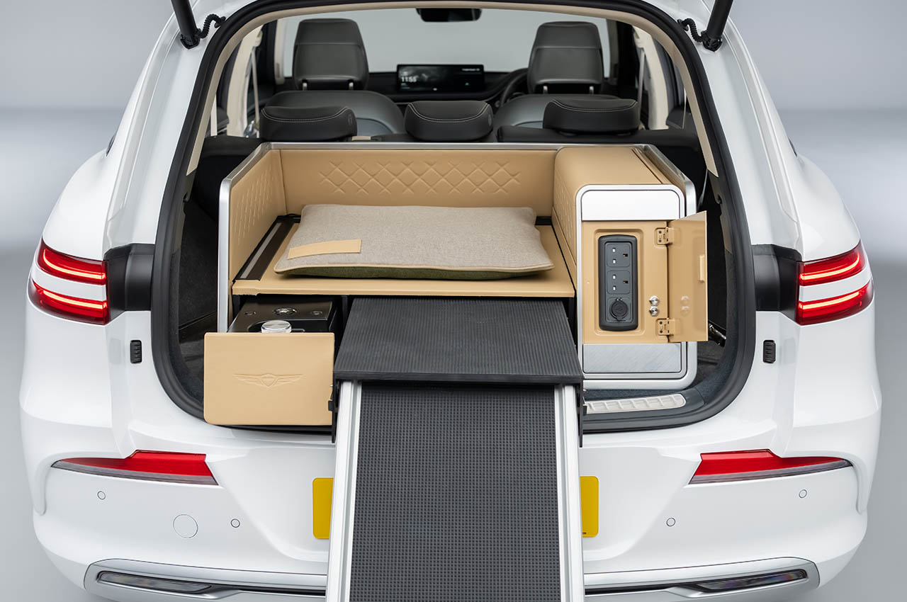 Dog Module，comfortable，Pets，facilities，