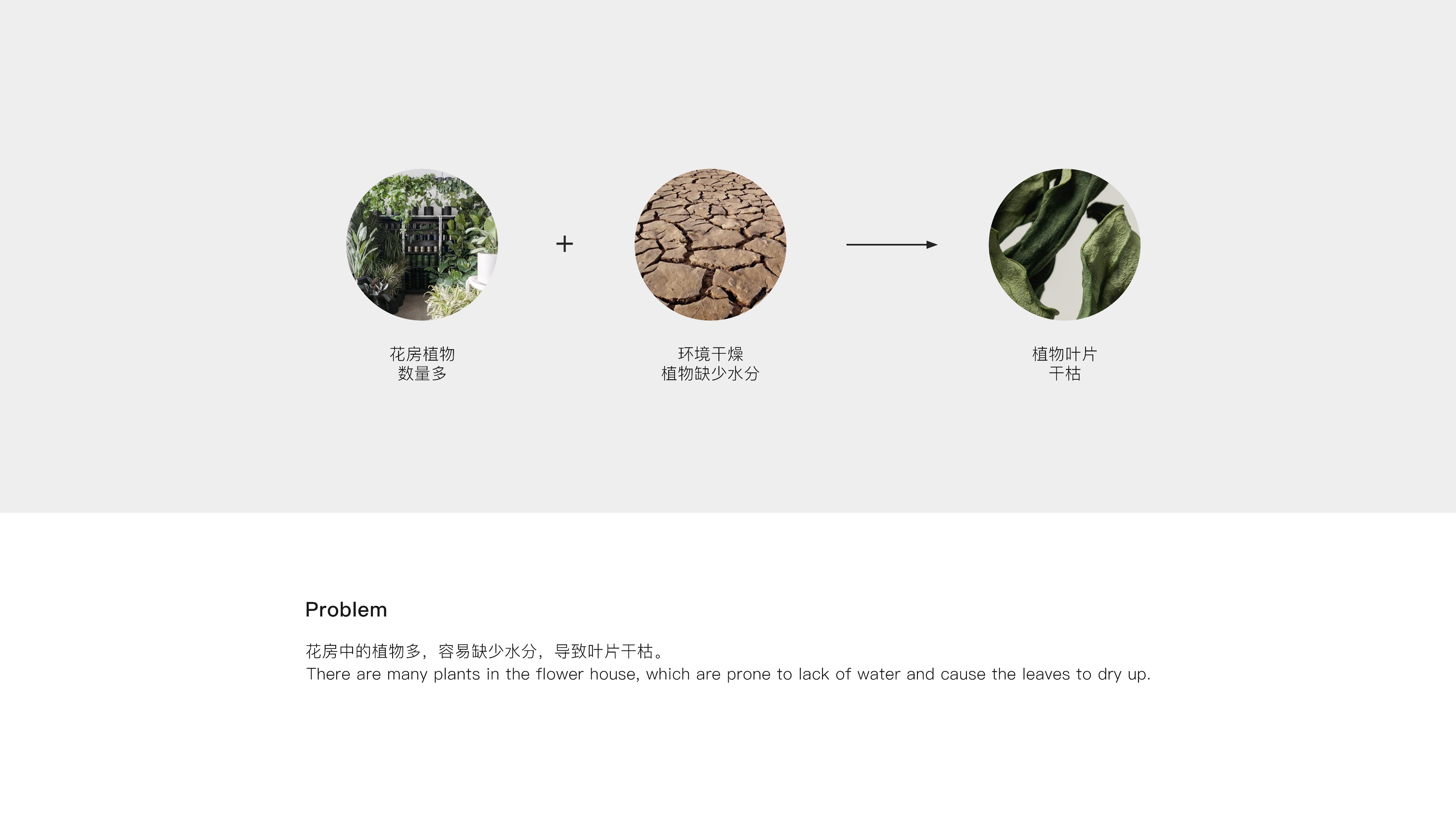 air cleaner，Render，Flower Room，yifeeling，A touch，household electrical appliances，Humidifier，