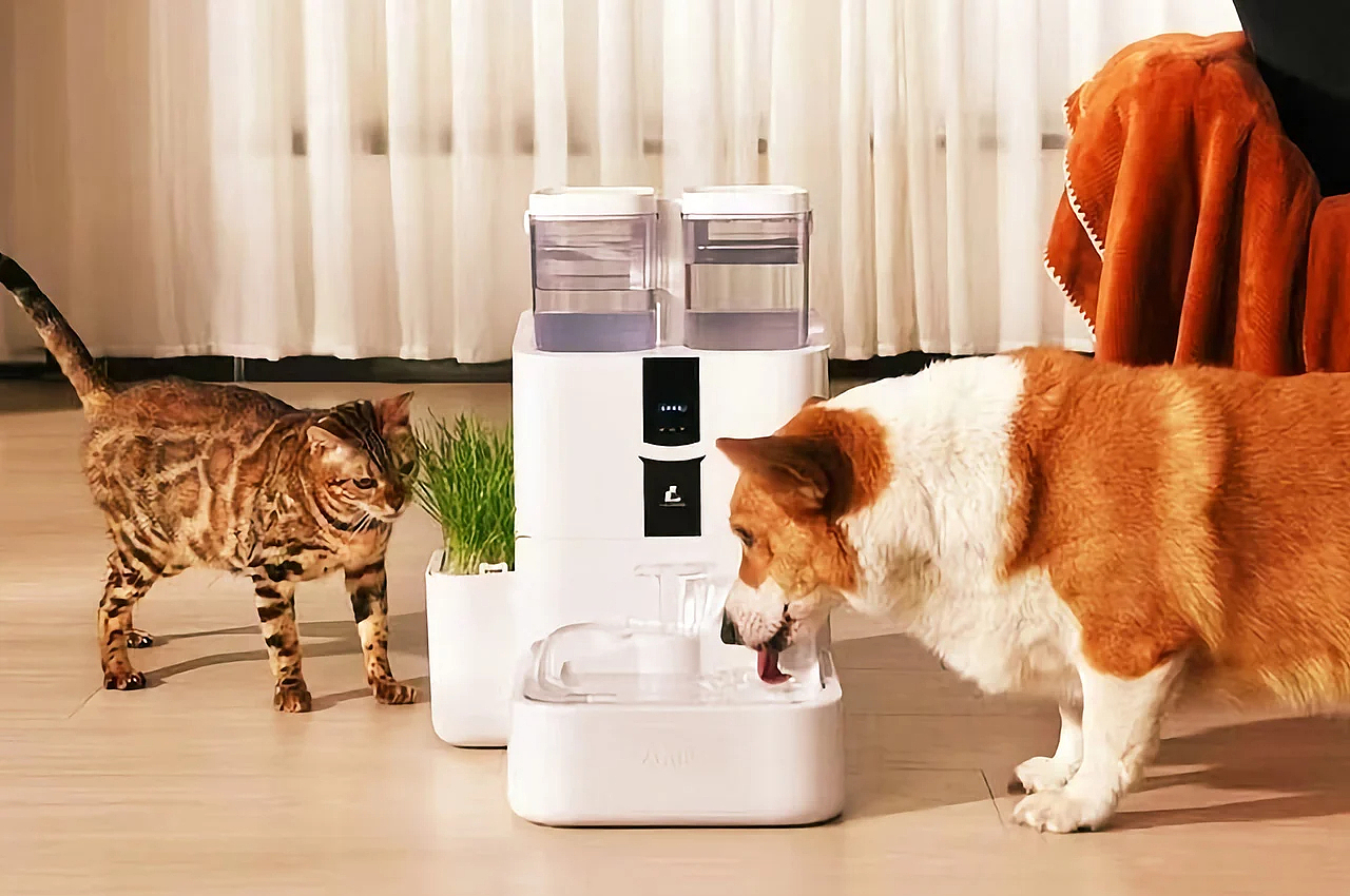 Pet water dispenser，Efficient filtration，intelligent control，