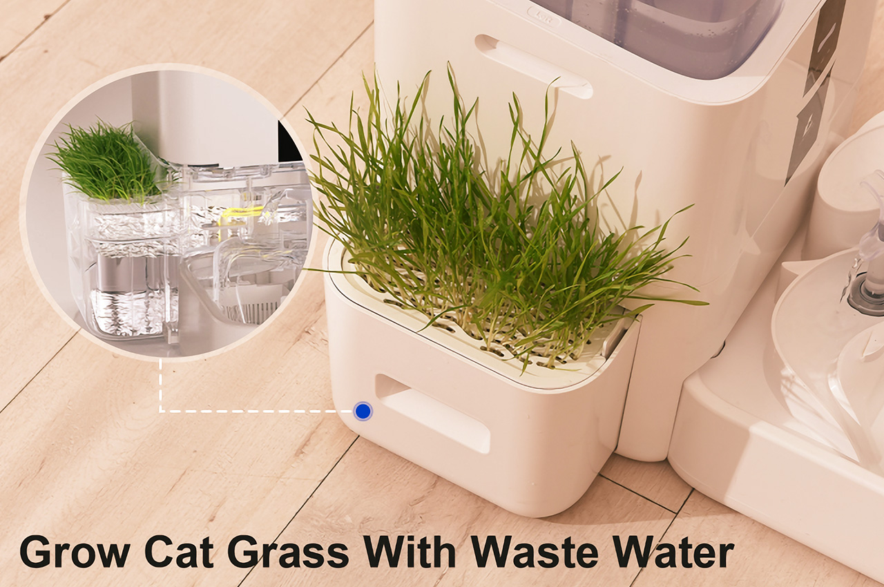 Pet water dispenser，Efficient filtration，intelligent control，