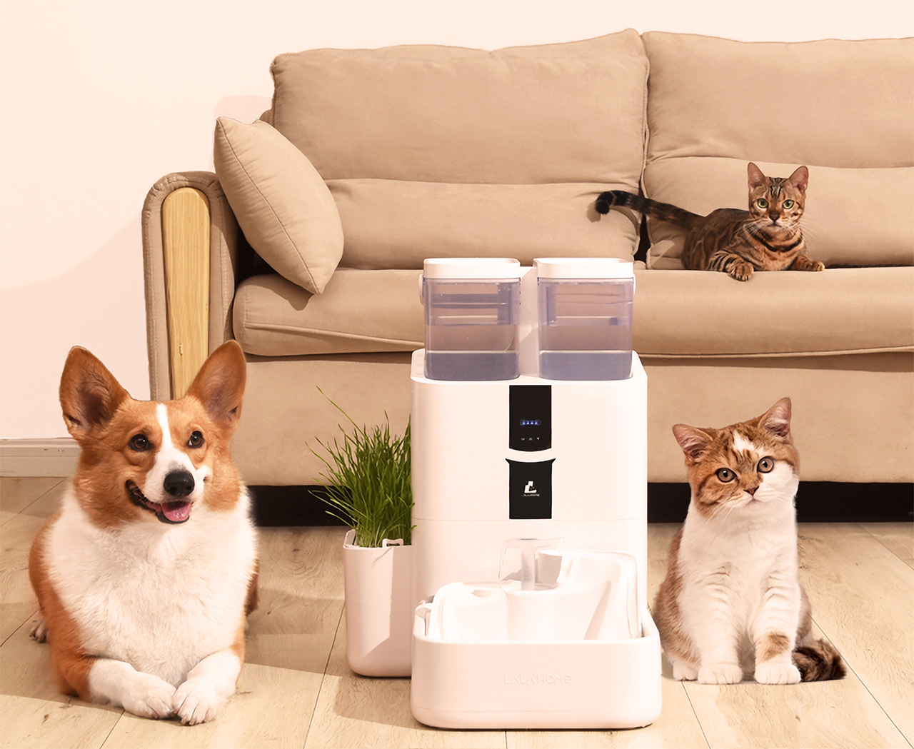 Pet water dispenser，Efficient filtration，intelligent control，