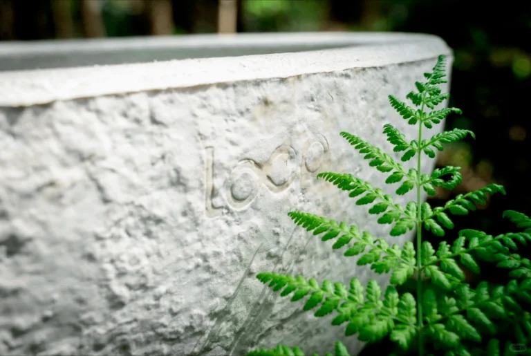 Environmental protection design，coffin，Degradable design，product design，industrial design，If design award，Red dot award，Design Award Declaration，