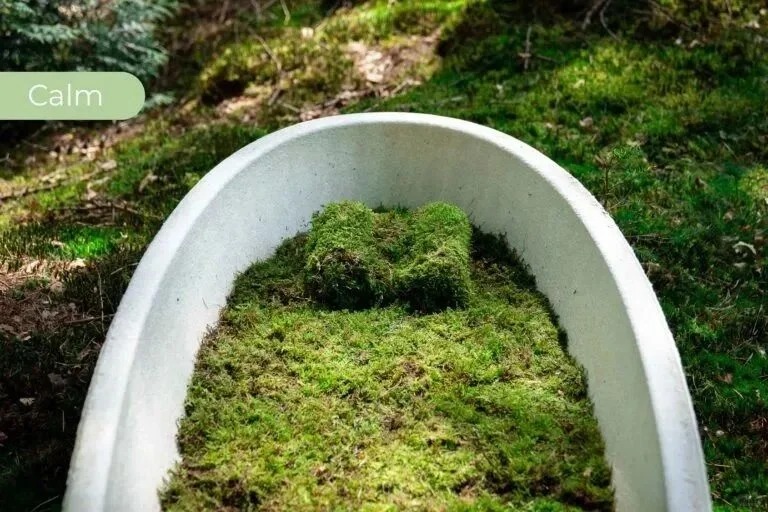 Environmental protection design，coffin，Degradable design，product design，industrial design，If design award，Red dot award，Design Award Declaration，