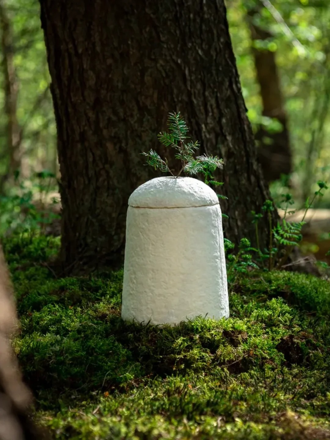 Environmental protection design，coffin，Degradable design，product design，industrial design，If design award，Red dot award，Design Award Declaration，