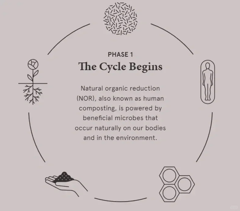 Environmental protection design，coffin，Degradable design，product design，industrial design，If design award，Red dot award，Design Award Declaration，
