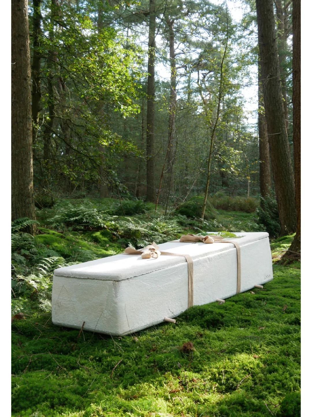 Environmental protection design，coffin，Degradable design，product design，industrial design，If design award，Red dot award，Design Award Declaration，