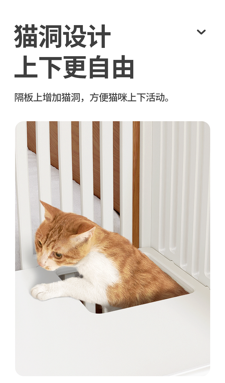 Blender rendering，Cat nest，Detail page，Pets，