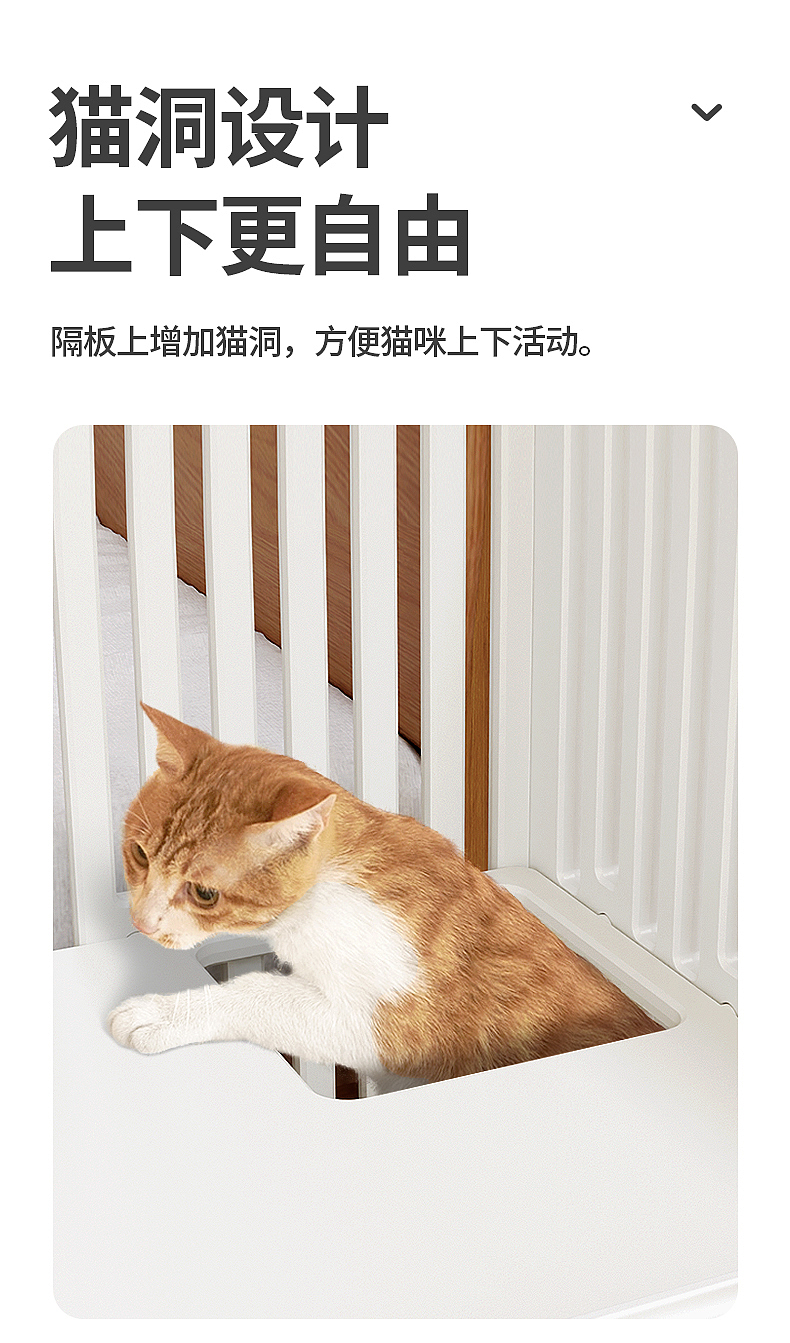 Blender rendering，Cat nest，Detail page，Pets，