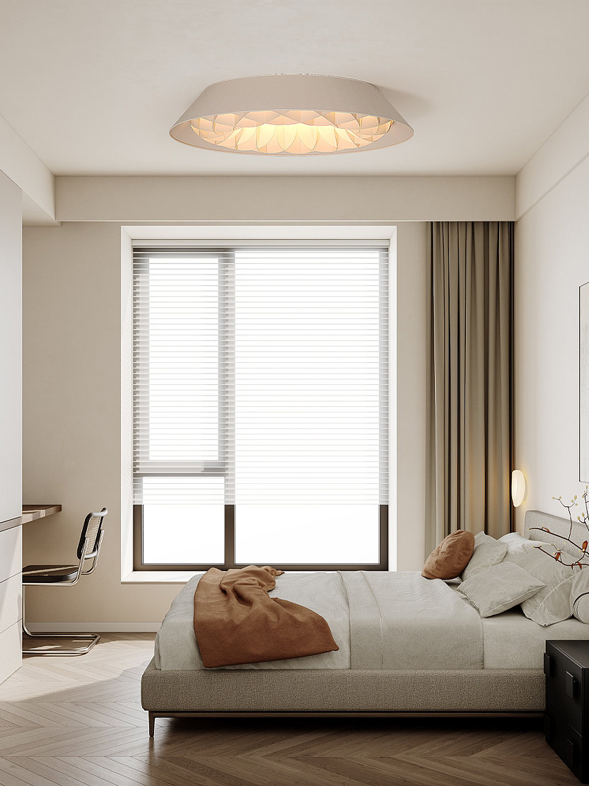 Indoor lighting, Ceiling lamp, Simple style，