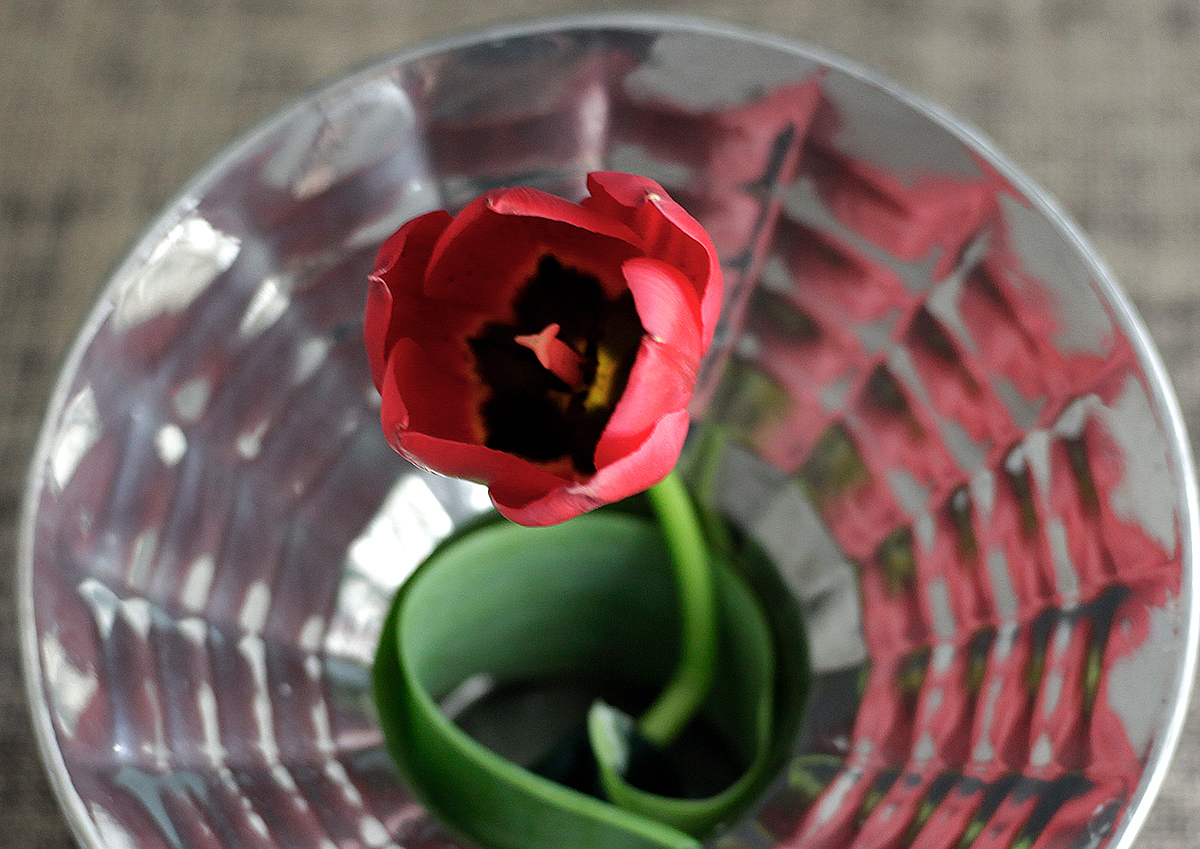 BLOSSOM VASE，花瓶，反射效果，