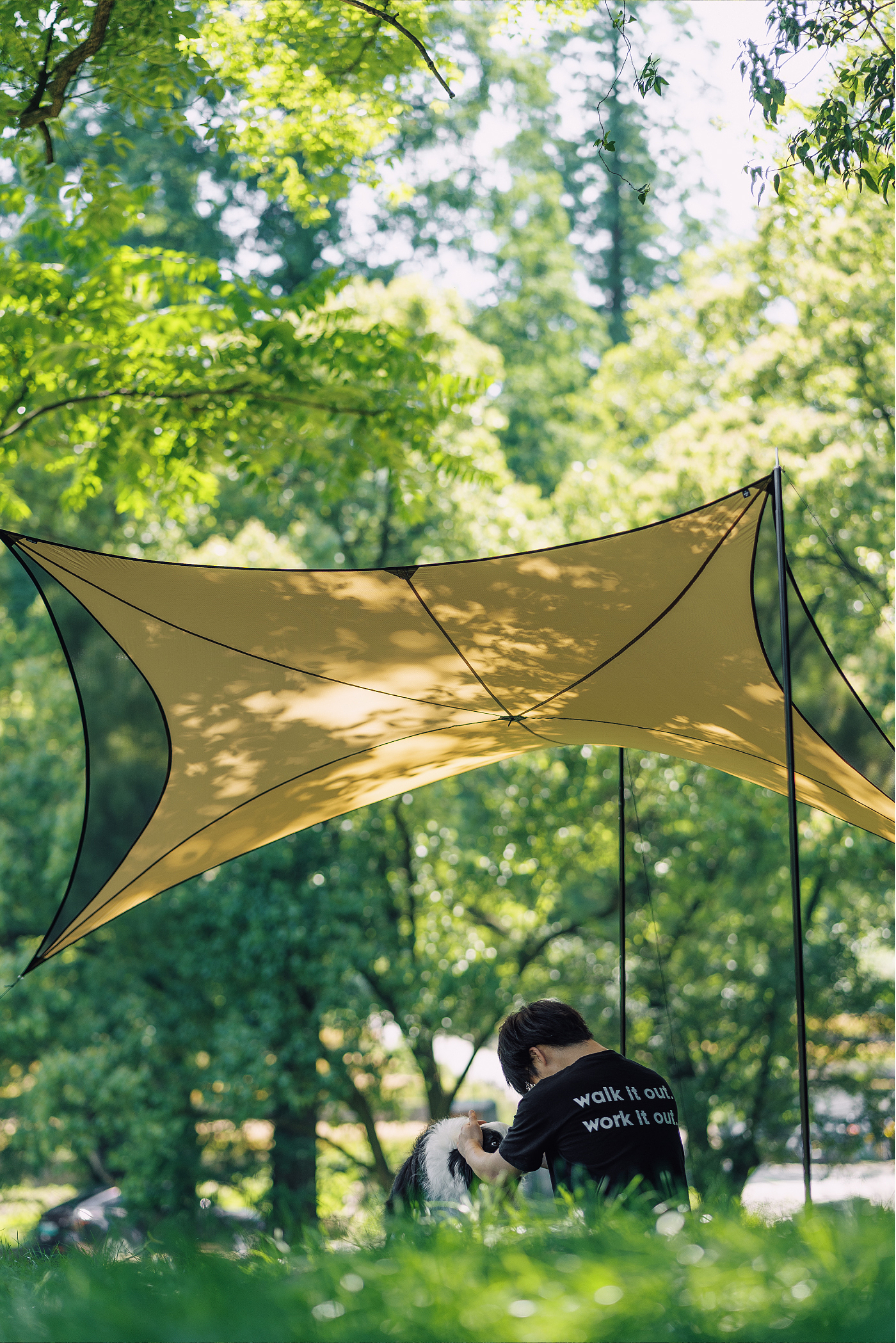 outdoors，outdoors，Sky curtain，Sky curtain，curve，curve，Organic form，Organic form，