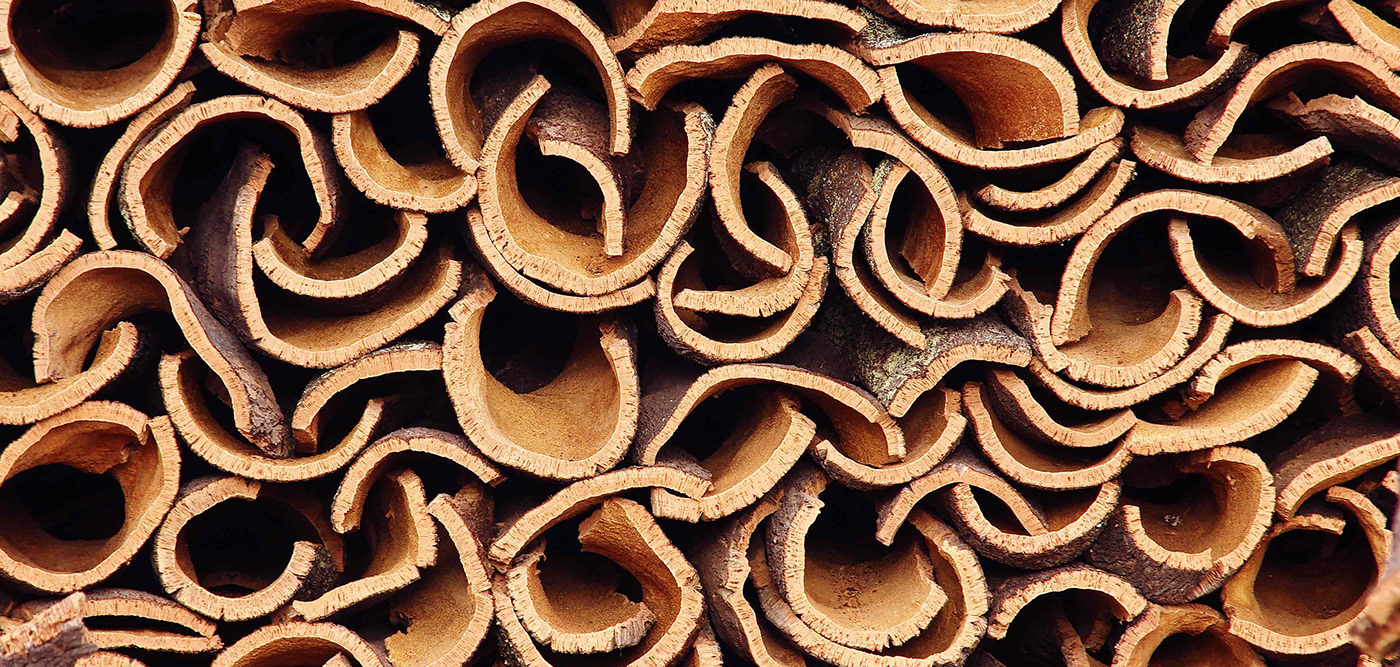 cork，industrial design，product design，Brand promotion，