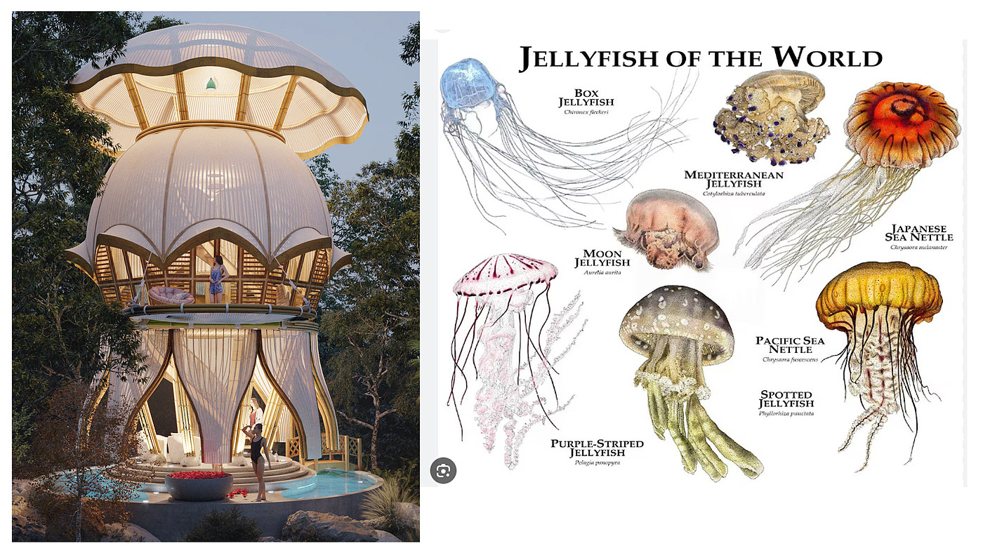 Architectural design，jellyfish，Architecture，Art，space，