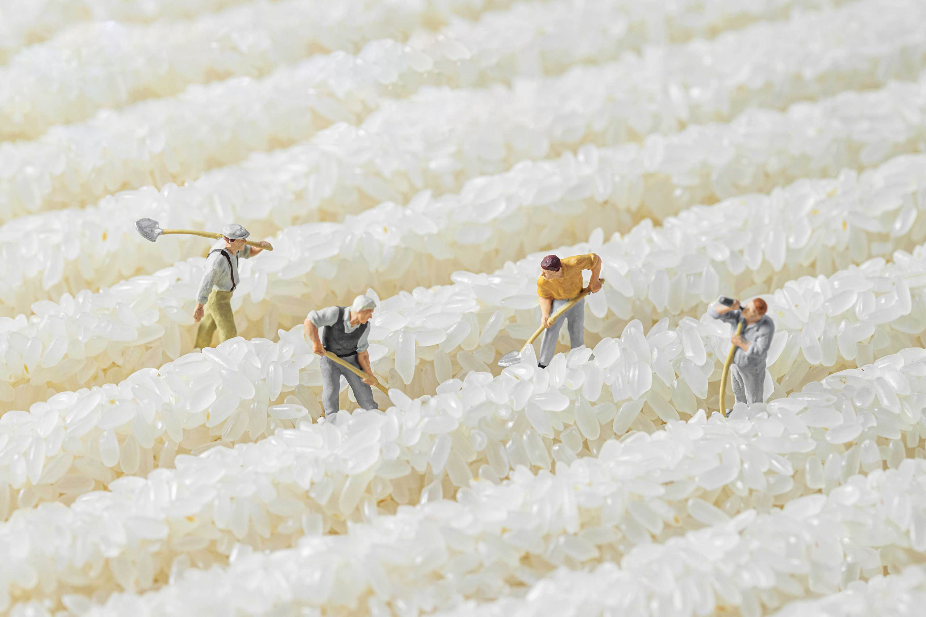 Original ecology，natural，Simplicity，healthy，environment protection，