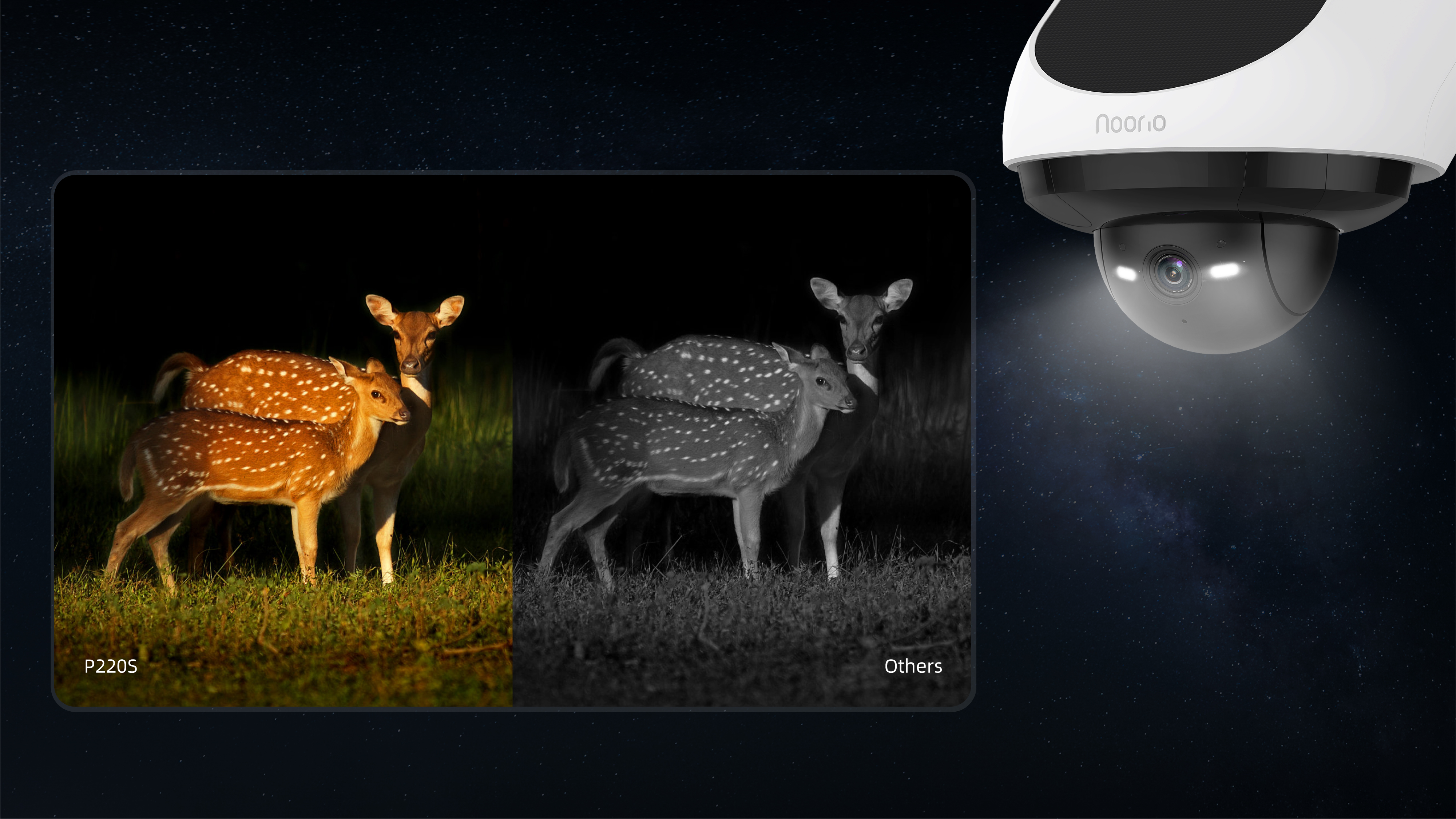 camera，2024 IF Award，IF award，GERMANY IF WINNING WORKS，