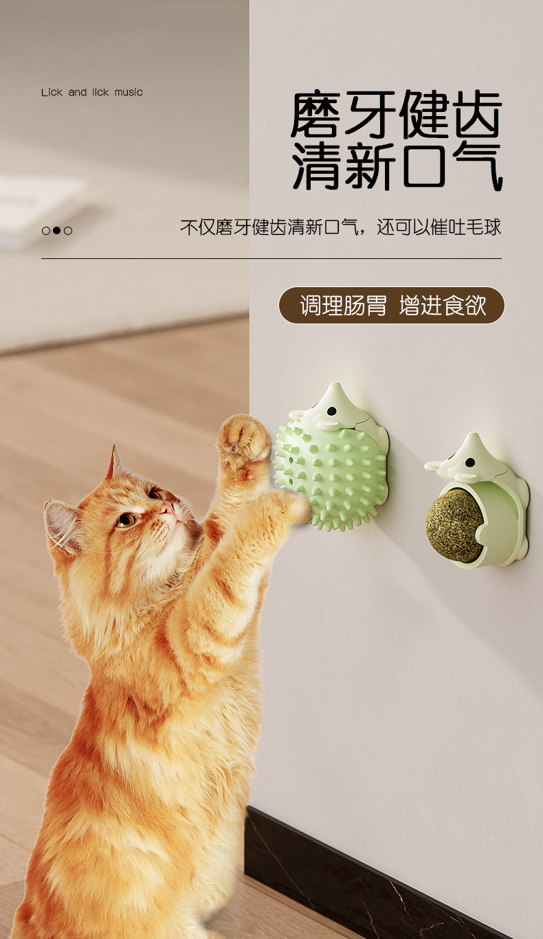Pets，cat，Mint Ball，hedgehog，Detail page，Render，