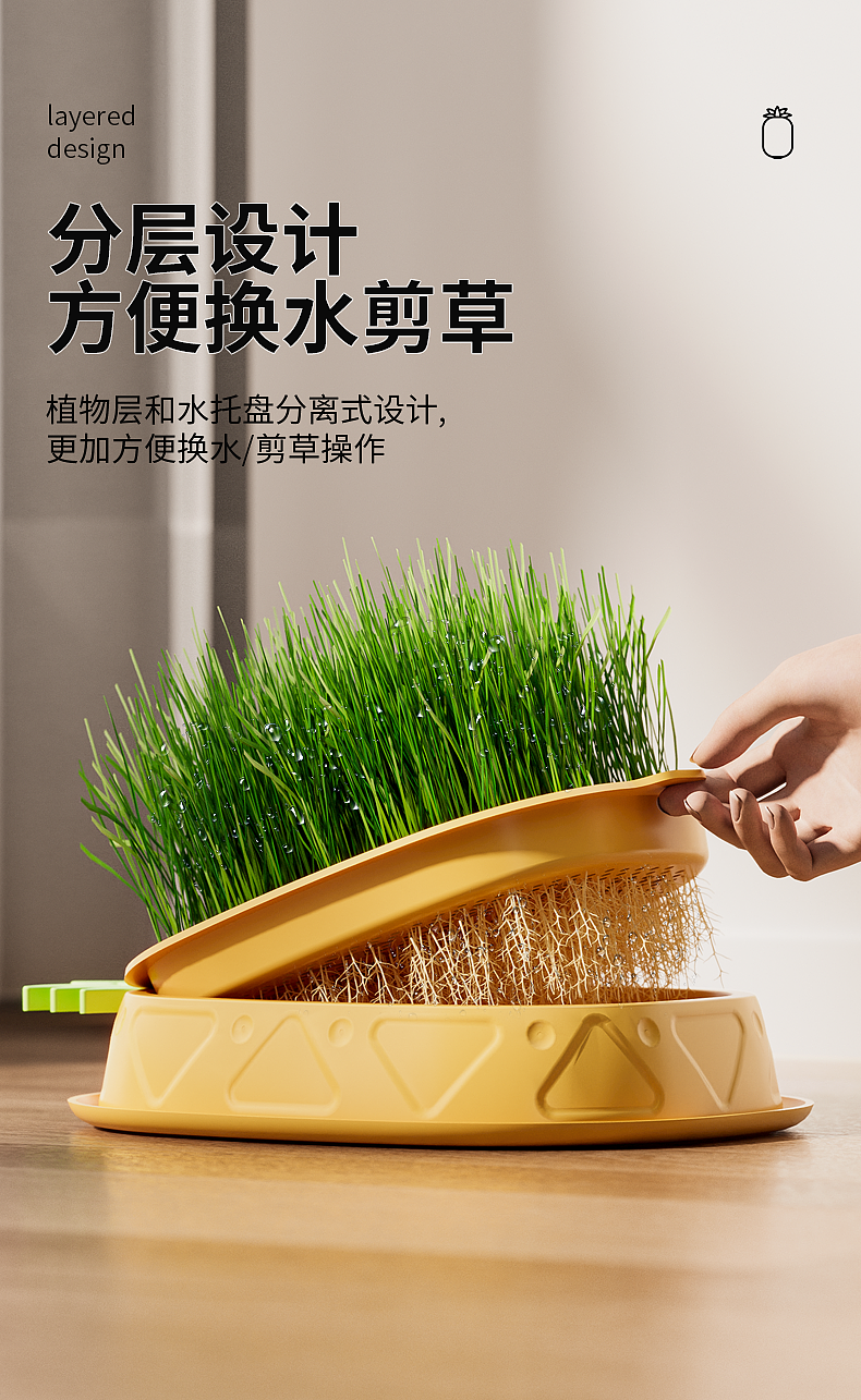 Pets，cat，Cat grass box，pineapple，Detail page，Render，